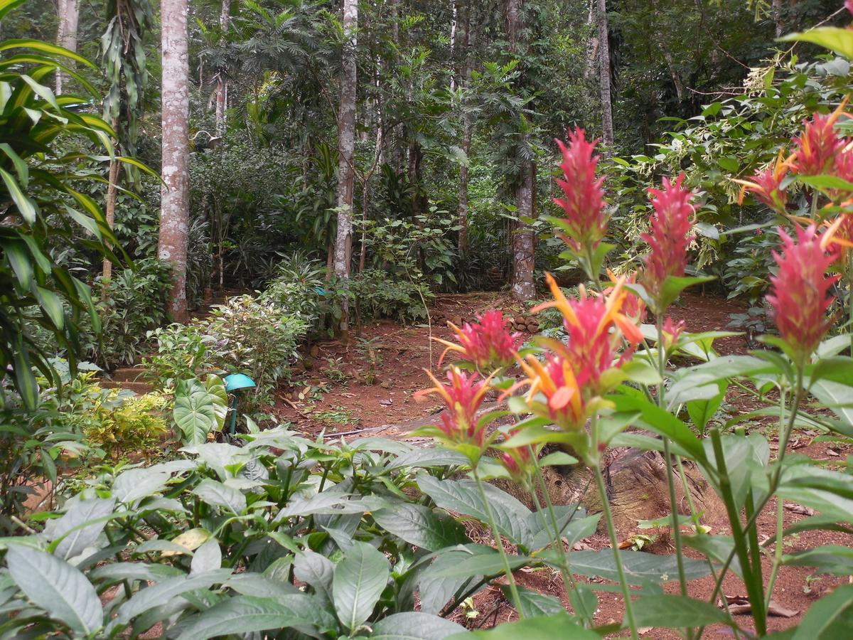 Le Leopard D 'Argent Otel Kandy Dış mekan fotoğraf