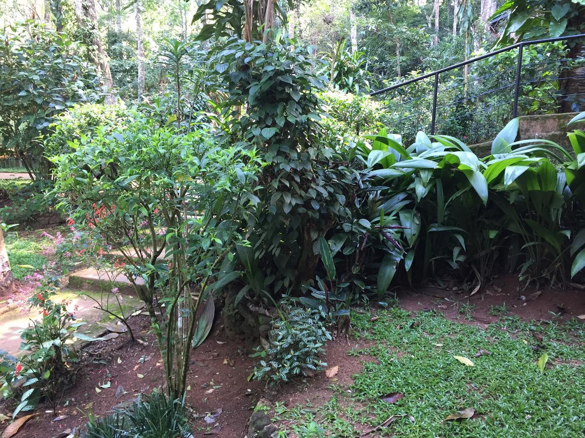 Le Leopard D 'Argent Otel Kandy Dış mekan fotoğraf